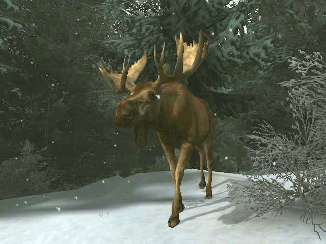 
Cabela's Outdoor Adventures | Xbox | gameplay screenshot 1