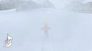 
We Ski & Snowboard | Wii | gameplay screenshot 2
