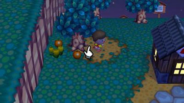 
Animal Crossing: City Folk | Wii | gameplay screenshot 2