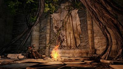 
Dark Souls II | PlayStation 3 | gameplay screenshot 1 | Region: North America | Source: LaunchBox