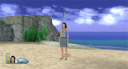 
The Sims 2: Castaway | Wii | gameplay screenshot 1