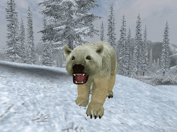 
Cabela's Big Game Hunter 2005 Adventures | Xbox | gameplay screenshot 2 | Region: North America | Source: LaunchBox