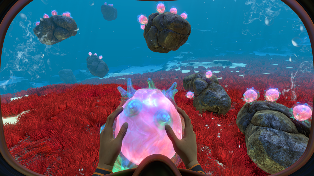 
Subnautica gameplay screenshot holding a Floater above red seagrass — official PlayStation Blog image
