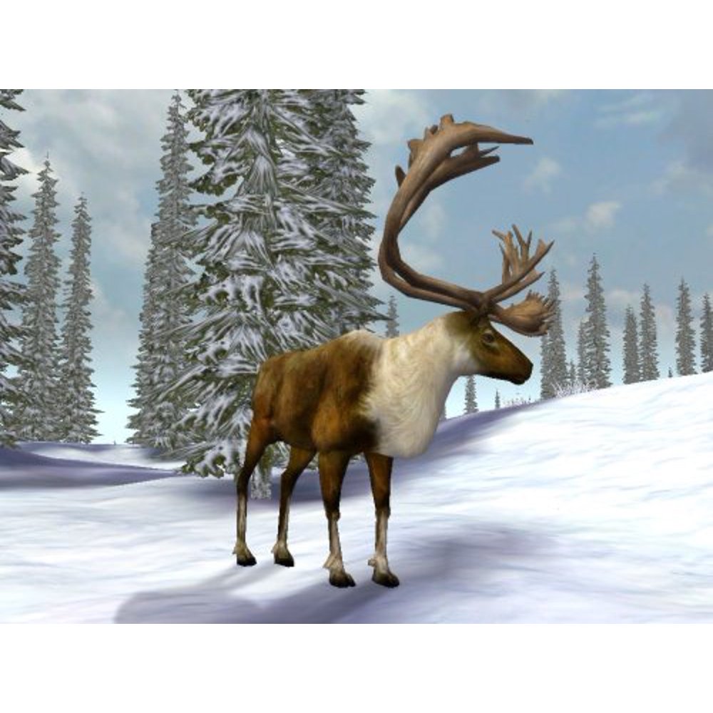
Cabela's Legendary Adventures | PSP | supplemental product media | walmart-ac1cef9cc1f4