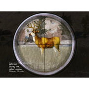 
Cabela's Legendary Adventures | PSP | supplemental product media | walmart-cba2ec92bff7