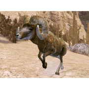 
Cabela's Legendary Adventures | PSP | supplemental product media | walmart-1fe9ced45ad0
