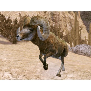 
Cabela's Legendary Adventures | PSP | supplemental product media | walmart-1fe9ced45ad0