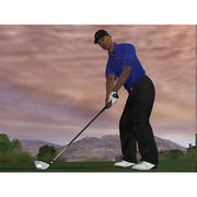 
Tiger Woods PGA Tour 07 | PlayStation 3 | supplemental product media | Region: North America | walmart-6bdf2de45443 | Source: Walmart